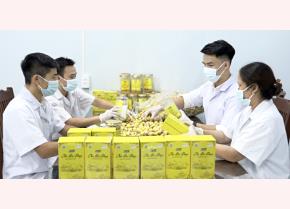 Công nhân HTX Dược liệu công nghệ cao Trường Sơn (Lục Nam) đóng gói trà hoa vàng.