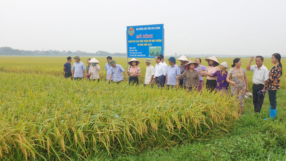 Đại diện lãnh đạo HND tỉnh cùng các đại biểu thăm mô hình. Ảnh: CTV