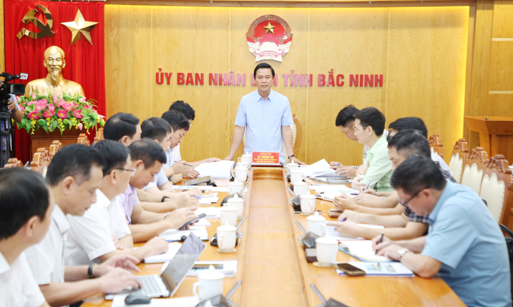 Phó Chủ tịch UBND tỉnh Lê Xuân Lợi phát biểu chỉ đạo.