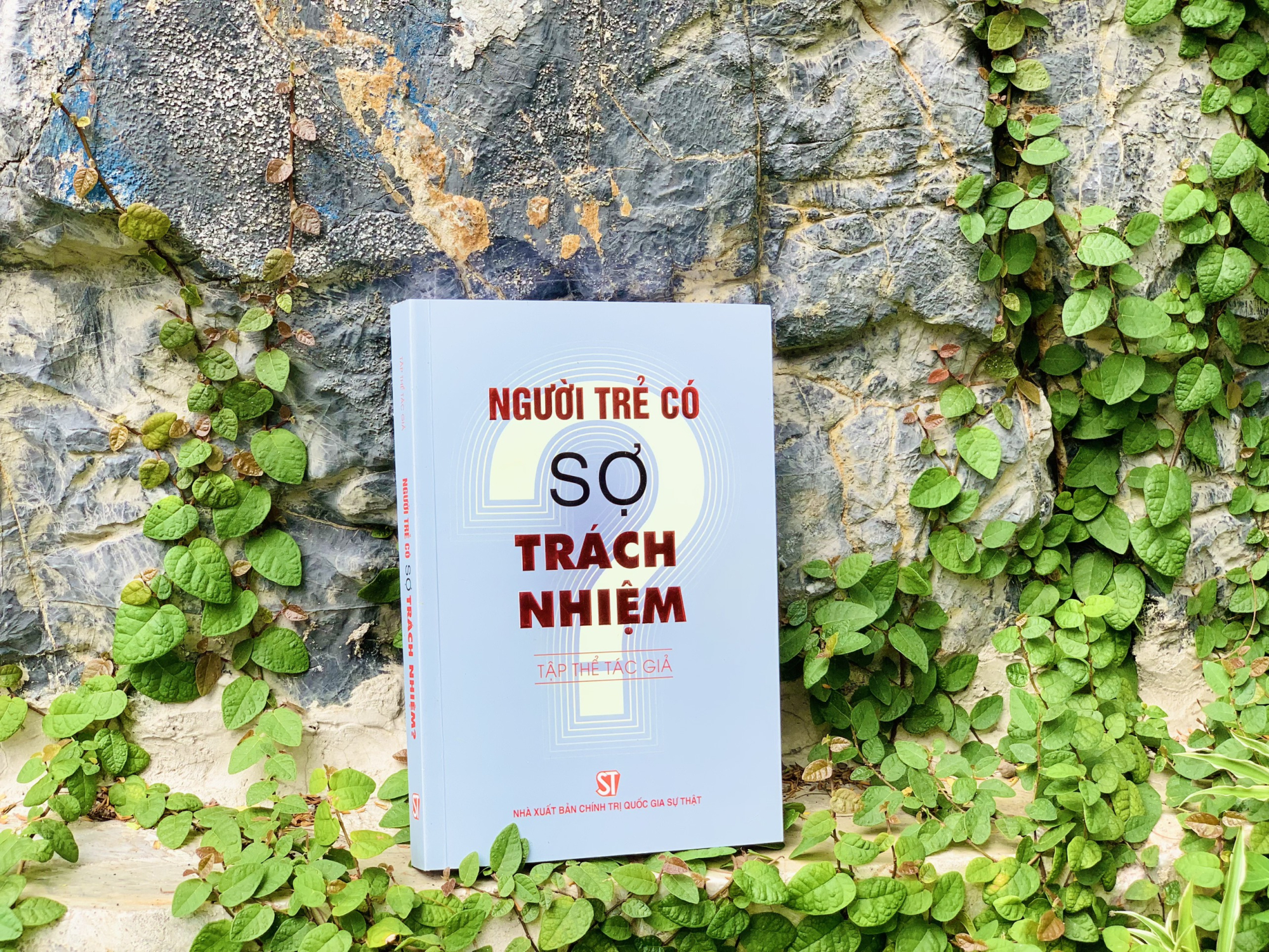 Ý nghĩa xuyên suốt cuốn sách mà tập thể tác giả muốn gửi gắm là sự động viên, khích lệ thế hệ trẻ cần nuôi dưỡng, giữ gìn “vốn quý” của tuổi trẻ, không ngừng phát triển và sáng tạo.