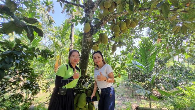 Hai bạn trẻ chụp ảnh lưu niệm khi tham quan mô hình du lịch cộng đồng Bình Thành tại xã Hành Nhân, huyện Nghĩa Hành (Quảng Ngãi). Ảnh: Đinh Hương/TTXVN