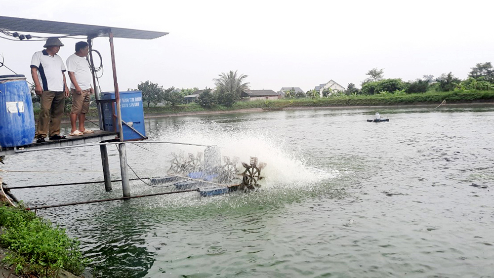 Nhiều hộ dân tại thị trấn Cao Thượng (Tân Yên) ứng dụng công nghệ cao nuôi cá thương phẩm.