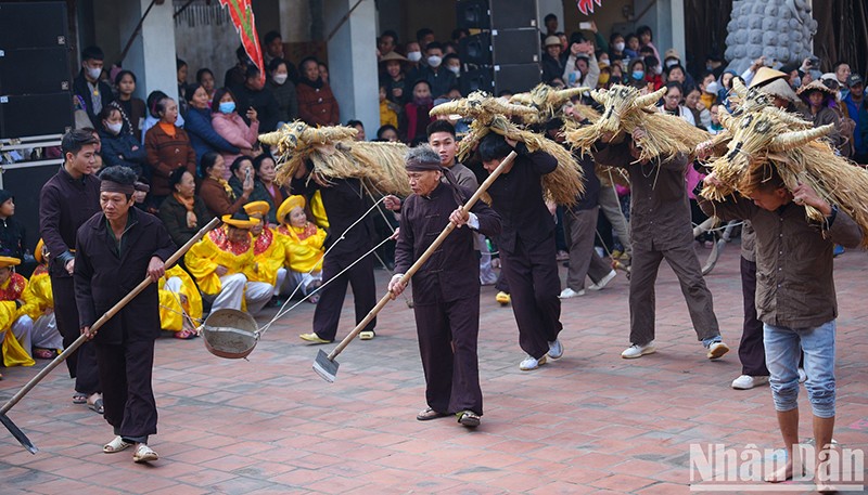 Lễ hội “Trâu rơm, bò rạ” vào ngày mùng 4 Tết Nguyên đán hằng năm ở xã Đại Đồng, huyện Vĩnh Tường, tỉnh Vĩnh Phúc. (Ảnh: Thành Đạt).