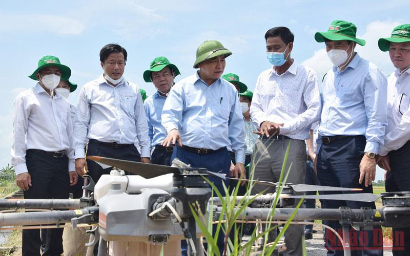 Chủ tịch nước Nguyễn Xuân Phúc khảo sát Mô hình cánh đồng sản xuất lúa tiên tiến, tiết kiệm nước ứng dụng các giải pháp công nghệ 4.0.