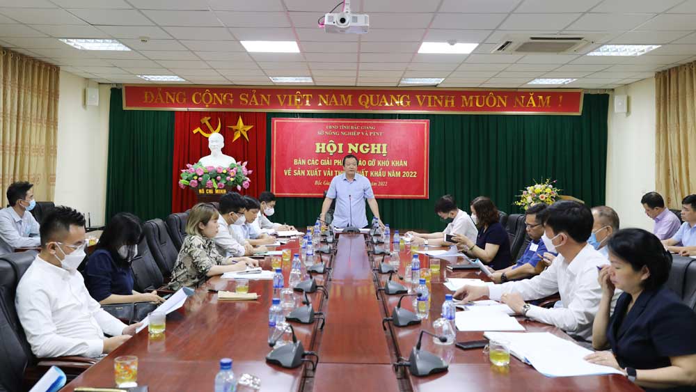 Quang cảnh hội nghị.