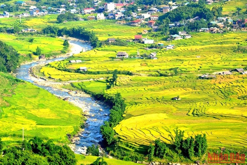 Con suối chảy dọc thung lũng Mường Hoa nuôi dưỡng và tôn thêm vẻ đẹp ruộng bậc thang mùa lúa chín có màu vàng mơ. (Ảnh: Quốc Hồng)