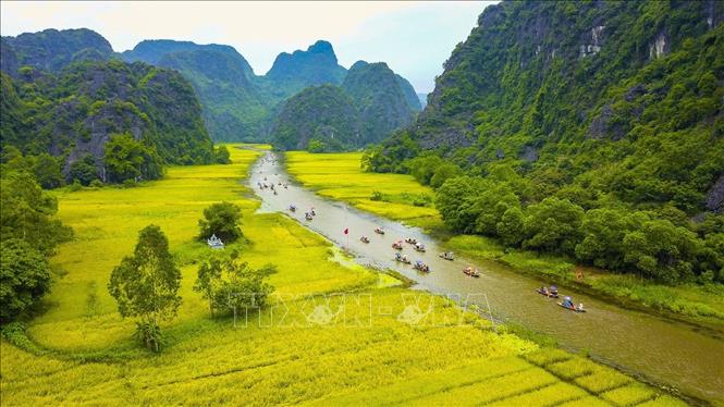 Những cánh đồng lúa chín rộ ở Tam Cốc (huyện Hoa Lư, tỉnh Ninh Bình). Ảnh tư liệu: Minh Đức/TTXVN