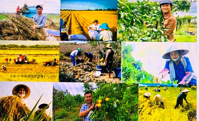 Nâng cao chất lượng hoạt động của Hội Nông dân Việt Nam trong giai đoạn mới. Ảnh: baochinhphu.vn