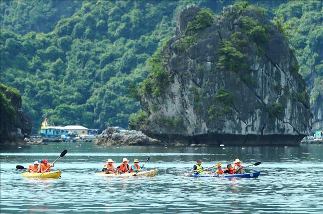 Cát Bà là điểm đến được nhiều du khách trong và ngoài nước lựa chọn. Ảnh tư liệu: Minh Đức/TTXVN