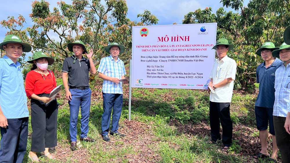 Các đại biểu bên mô hình vải thiều được chăm sóc bằng phân bón lá Plantagreenpower.