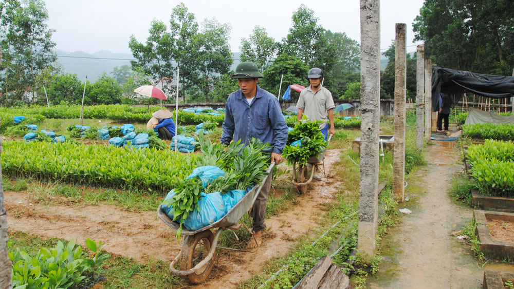 Người dân thôn Nhân Định, xã Yên Định (Sơn Động) chuẩn bị cây giống trồng rừng.