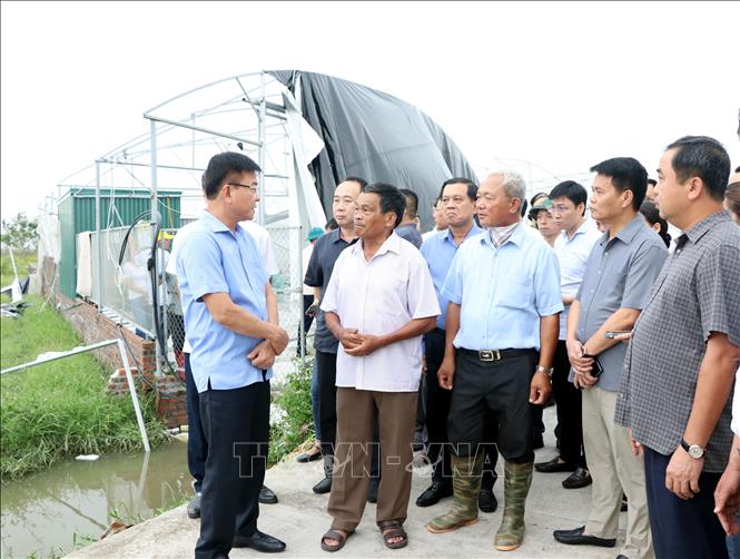 Người dân báo cáo với Phó Thủ tướng Lê Thành Long (ngoài cùng, bên trái) về thiệt hại do bão số 3 gây ra đối với các diện tích trồng dưa trong nhà màng, nhà lưới tại xã Phạm Trấn, huyện Gia Lộc. Ảnh: Mạnh Tú/TTXVN