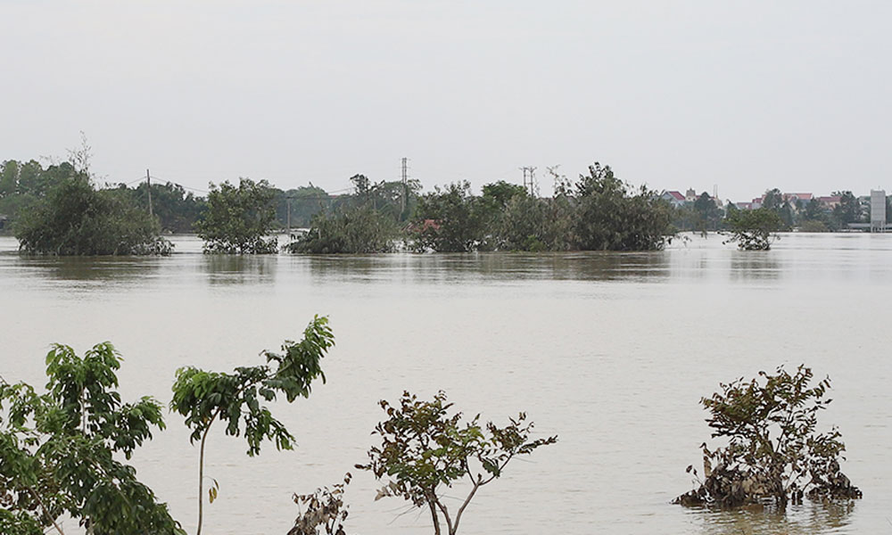 Ảnh minh họa.