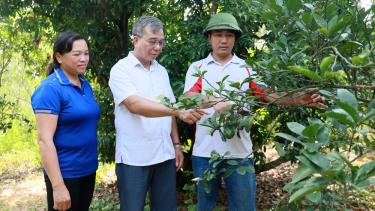 Cán bộ Ban Công tác mặt trận thôn Đại Giáp, xã Đại Lâm (Lạng Giang) phối hợp cùng Chi hội Phụ nữ thôn nắm bắt tình hình sản xuất tại một hộ dân.