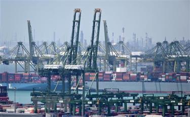 Vận chuyển hàng hóa tại cảng Pasir Panjang ở Singapore. (Ảnh: AFP/TTXVN)