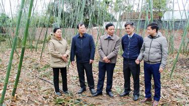 Đồng chí Phan Thế Tuấn cùng đoàn công tác thăm HTX Măng lục trúc Lâm Sinh Ngọc Châu.
