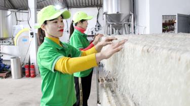 Nhiều hộ gia đình ở xã Ngọc Châu (Tân Yên) phát triển nghề làm mỳ.
