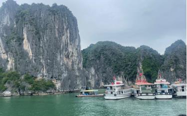 Tàu du lịch đưa khách tham quan Vịnh Hạ Long, Quảng Ninh.