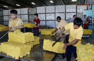 Công nhân Công ty cao su Việt Lào phân mủ cao su để cân trước khi đóng thành phẩm trước khi xuất khẩu. (Ảnh: Phạm Kiên/Vietnam+)