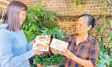 Sản phẩm kẹo lạc do gia đình bà Giáp Thị Kiểm, thôn Tân Thể sản xuất được trang bị bao bì đẹp mắt