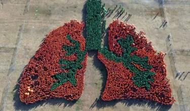 Philippines lập kỷ lục thế giới về hình lá phổi người lớn nhất. Ảnh: manilatimes.net