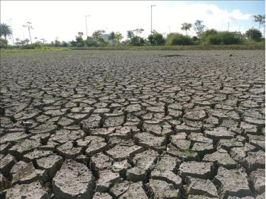 Tình trạng cạn kiệt nước ngọt gây ra khô hạn tại thành phố Vị Thanh, tỉnh Hậu Giang. Ảnh: Duy Khương/TTXVN