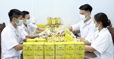 Công nhân HTX Dược liệu công nghệ cao Trường Sơn (Lục Nam) đóng gói trà hoa vàng.