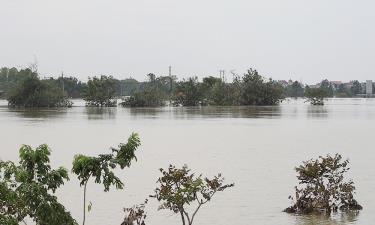 Ảnh minh họa.