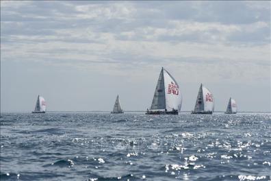 Những đội thuyền của Giải đua thuyền buồm vòng quanh thế giới Clipper Race mùa giải 2023-2024. Ảnh: TTXVN phát